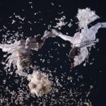 two aerial performers dressed as angels in white outfits with wings, are suspended upside down from a highwire, having a play pillow fight, feathers erupt against a dark sky