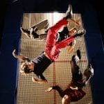 three performers seen from above are dressed in uncoordinated but all in red and black outfits and they bounce simultaneously on a trampoline, their arms and legs all going out from their bodies creating movement