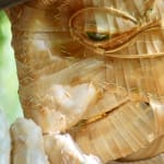 close up of a puppet head with a flat cap on holding a dandelion Walk of the Dandelion | Luke Brown
