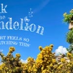 large wooden puppet with green foliage for hair and beard against yellow and green bushes and blue sky with low white clouds, writing says 'Walk of the Dandelion' and shows an audience quote which says 'my hear feels so full watching this' Walk of the Dandelion | Luke Brown © Tom Byrne