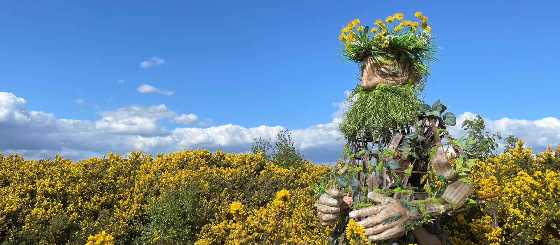 large wooden puppet with green foliage for hair and beard against yellow and green bushes and blue sky with low white clouds Walk of the Dandelion | Luke Brown © Tom Byrne